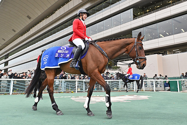 福島競馬場の誘導馬ヨシオが11歳で死す 21年アイドルホース 