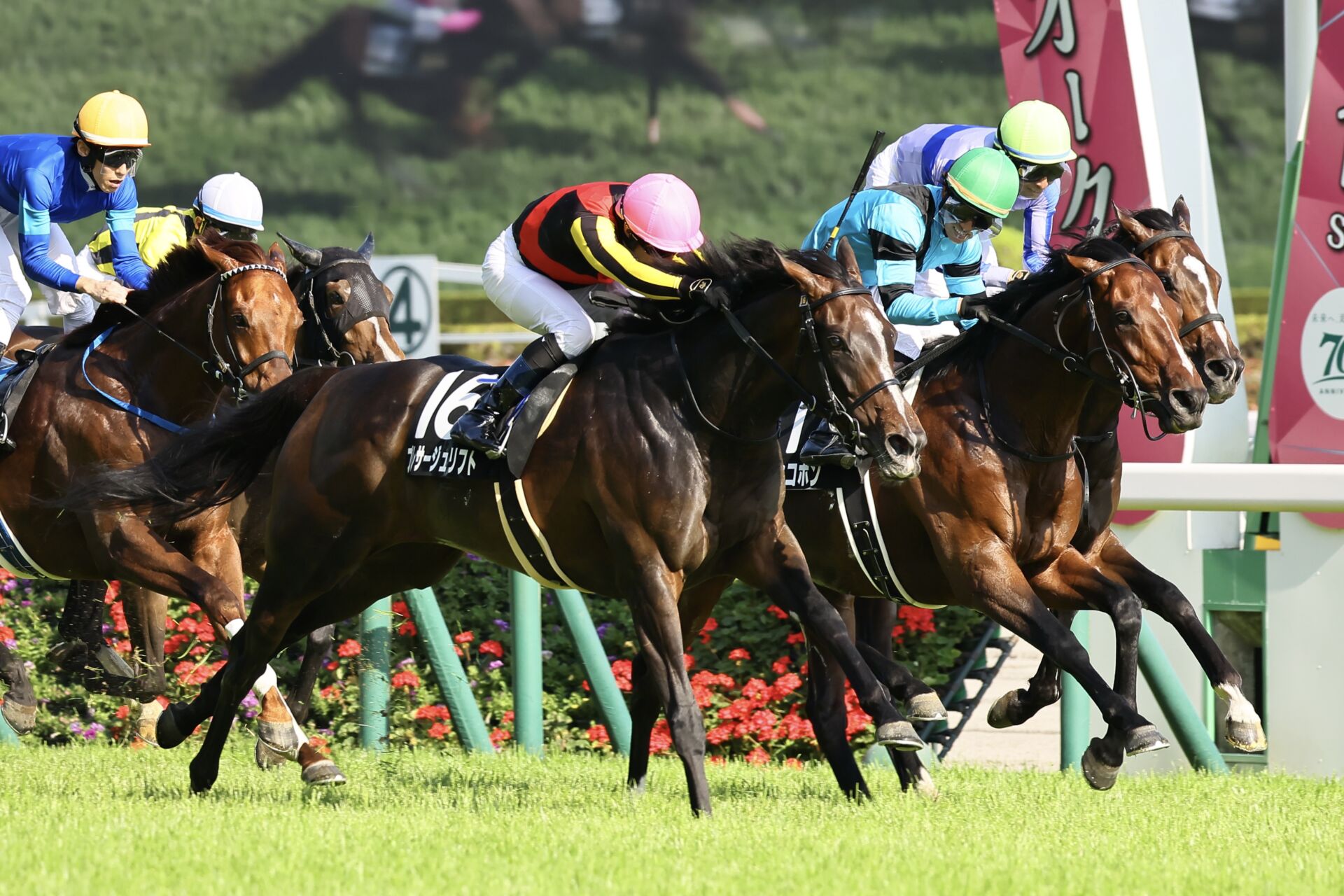 【メイS】プレサージュリフト2年3ヶ月ぶり勝利