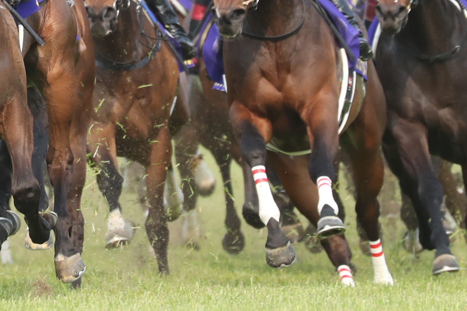 村山明調教師 JRA通算300勝達成…「次の1勝を目指して」