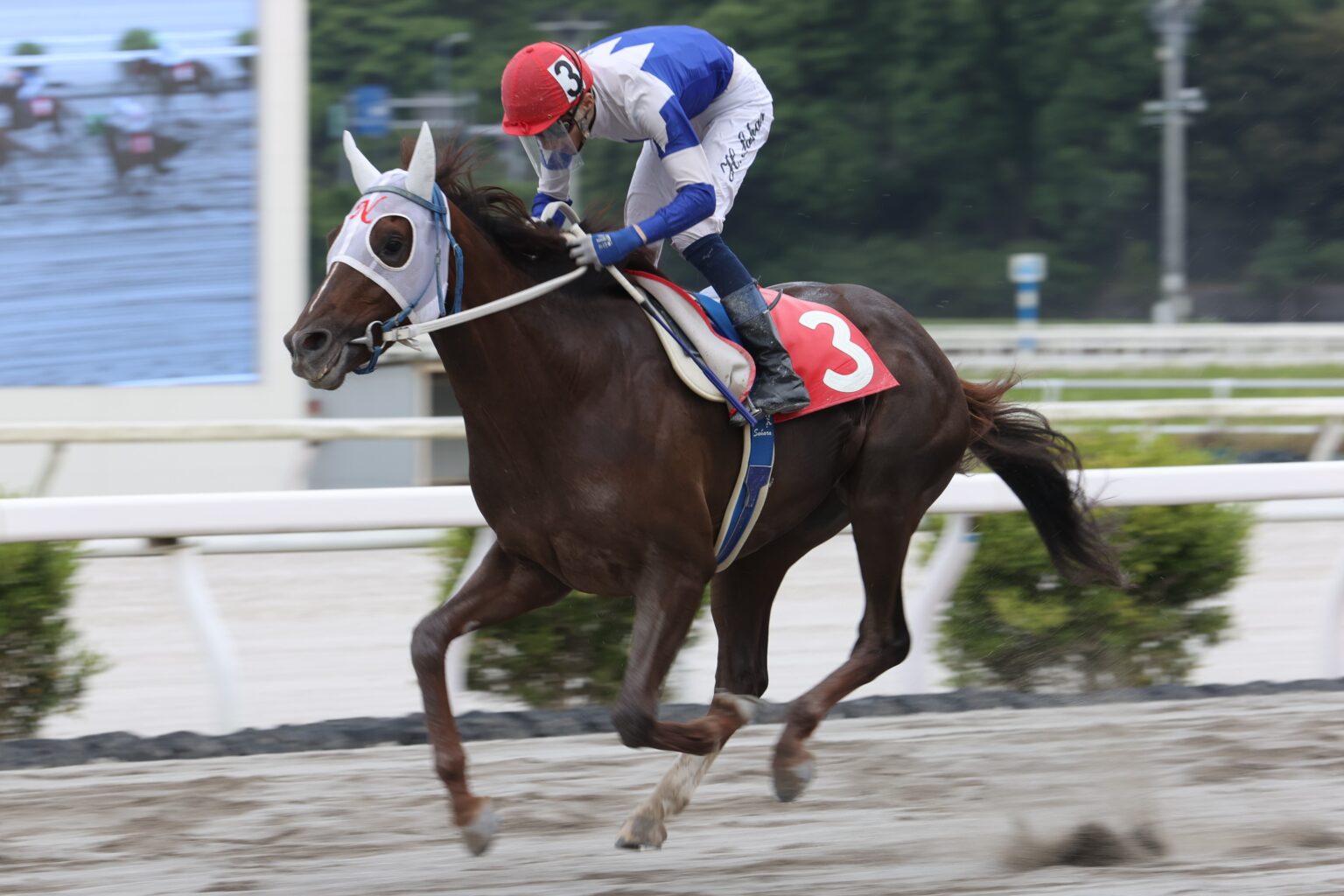 【高知・山桃特別】マジックセブンが4連勝