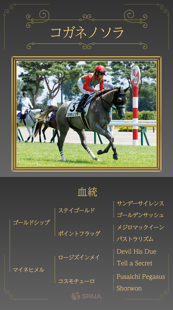 【オークス】2400mで躍動期待！　3年前の勝ち馬と同配合コガネノソラに熱視線