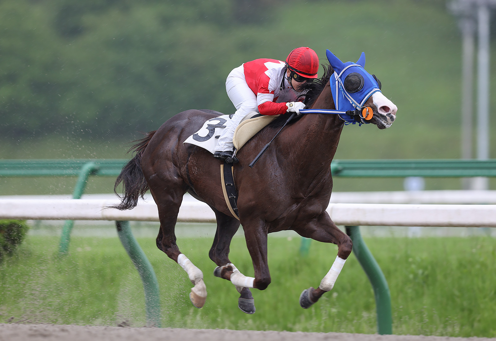 【岩手競馬】山本聡哉騎手が地方通算2500勝…「記録保持者になっていればいいな」