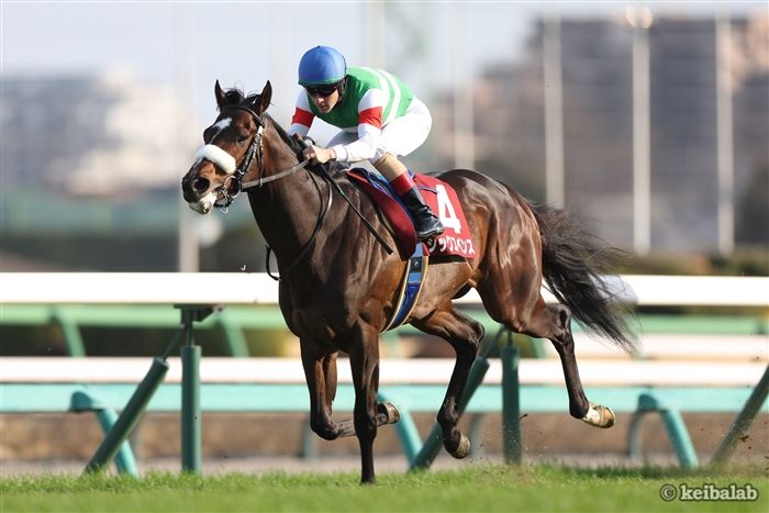 【日本ダービー】無敗のダービー馬誕生なるか！指揮官が語るシックスペンスの現状