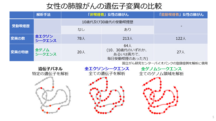 受動喫煙による肺がん発症のメカニズム解明 国立がん研など（Science 