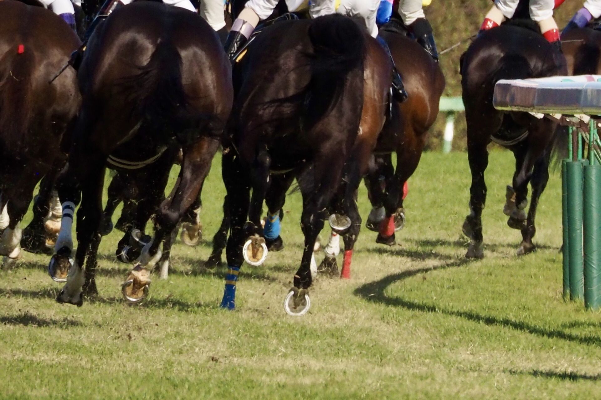 JRAが競馬ファンへお願い…「競馬場へ移動中の騎手に関するお願い」