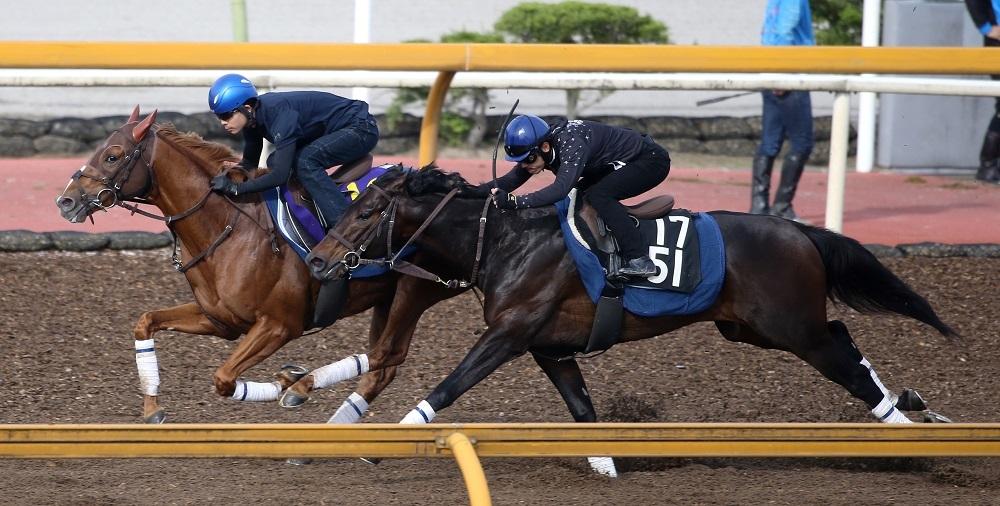 【日本ダービー】考えられる穴馬は「1頭だけ」 東京コースなら「大きく変わる」納得の父×母父