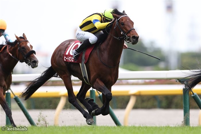 【目黒記念】昨年勝ち馬ズバリ！今年は1点買いもアリの「東京芝2500m攻略法」に合致した2頭