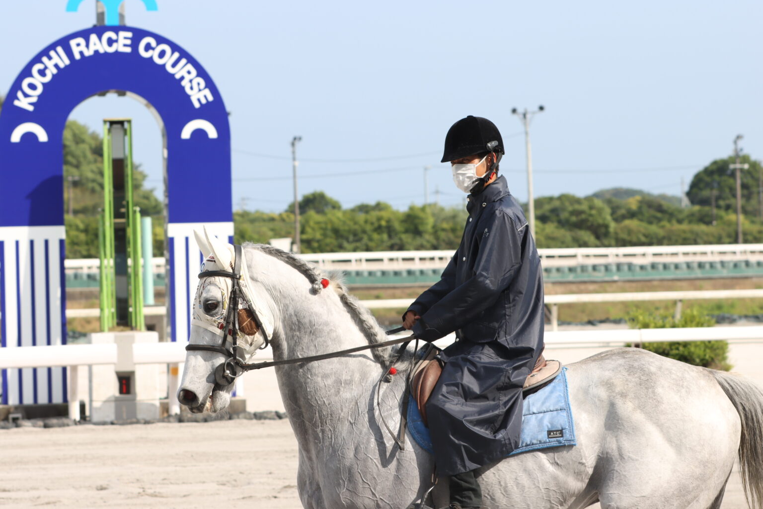 【高知競馬】ジョーアラビカが誘導馬デビュー