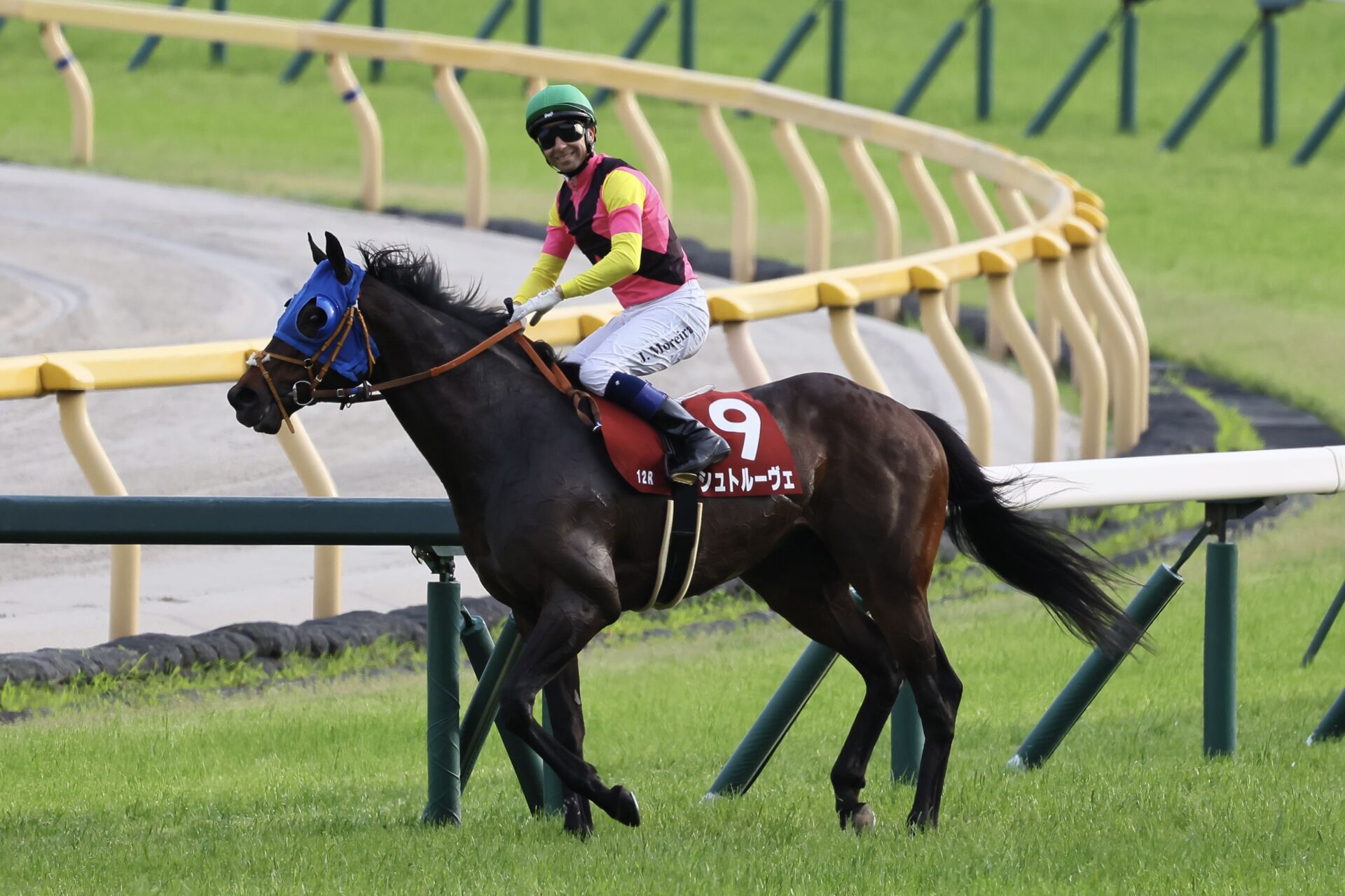 【目黒記念】モレイラ「とても良い馬」シュトルーヴェ重賞連勝