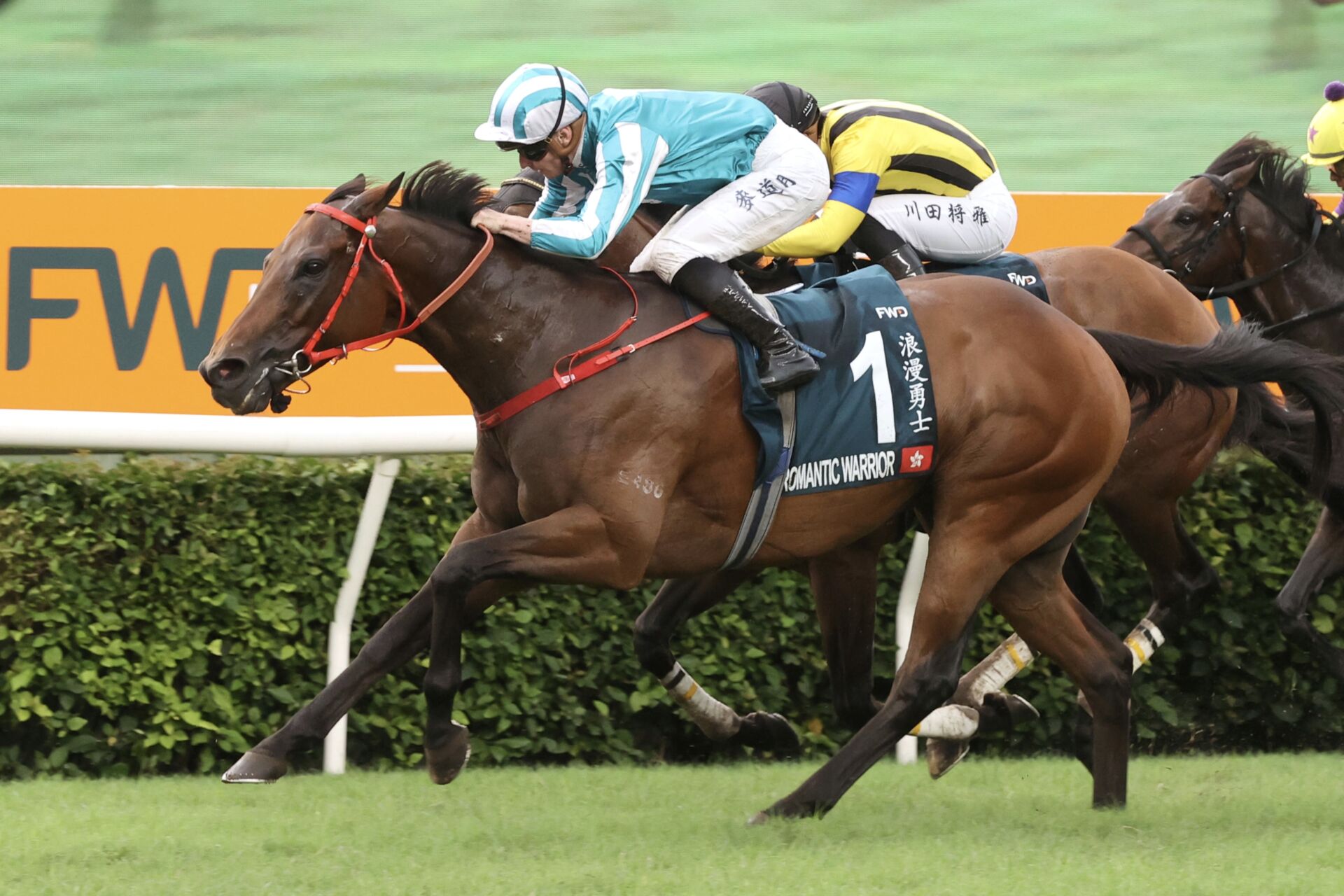 【安田記念登録馬】香港馬・ロマンチックウォリアーなど18頭