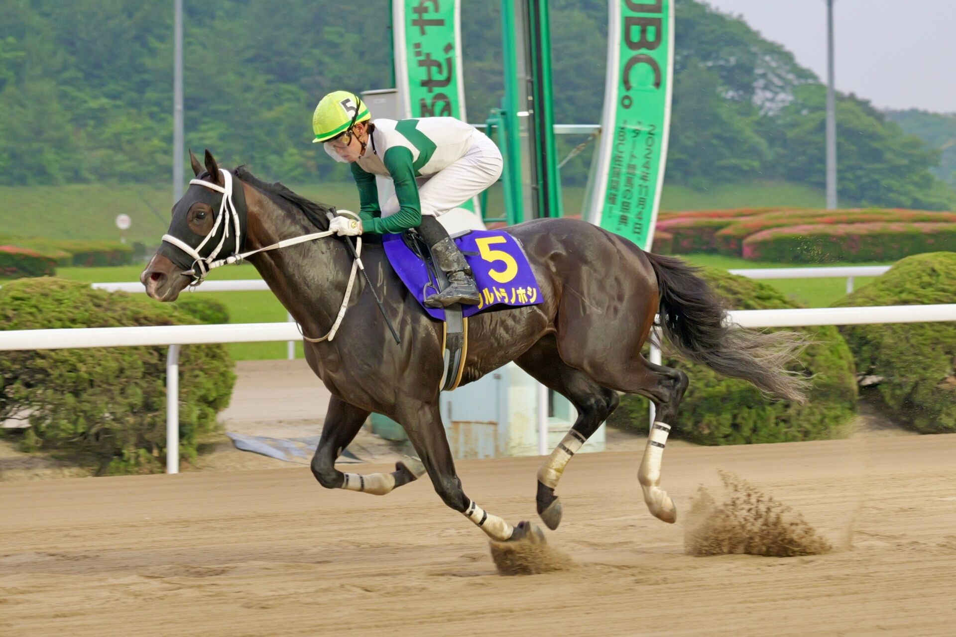 【佐賀・栄城賞】ウルトラノホシが4馬身差圧勝…石川倭「馬の邪魔をしなければ勝てると思っていた」