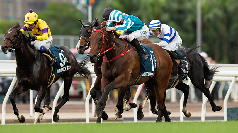 【安田記念】データではナミュールらヴィクトリアマイル組が優勢　能力ならGⅠ・7勝の香港馬ロマンチックウォリアー