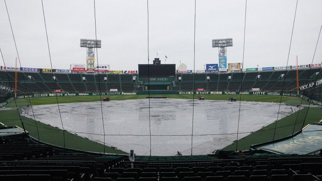 阪神】日本ハムとの交流戦初戦が雨天中止 甲子園開催は今季2度目 SNSでは「阪神園芸さんでもどうしようもない」の声（日テレNEWS NNN） -  Yahoo!ニュース