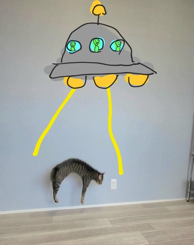 UFOに猫が、ヒュッとさらわれる！？ 驚きの写真に「逃げてください 