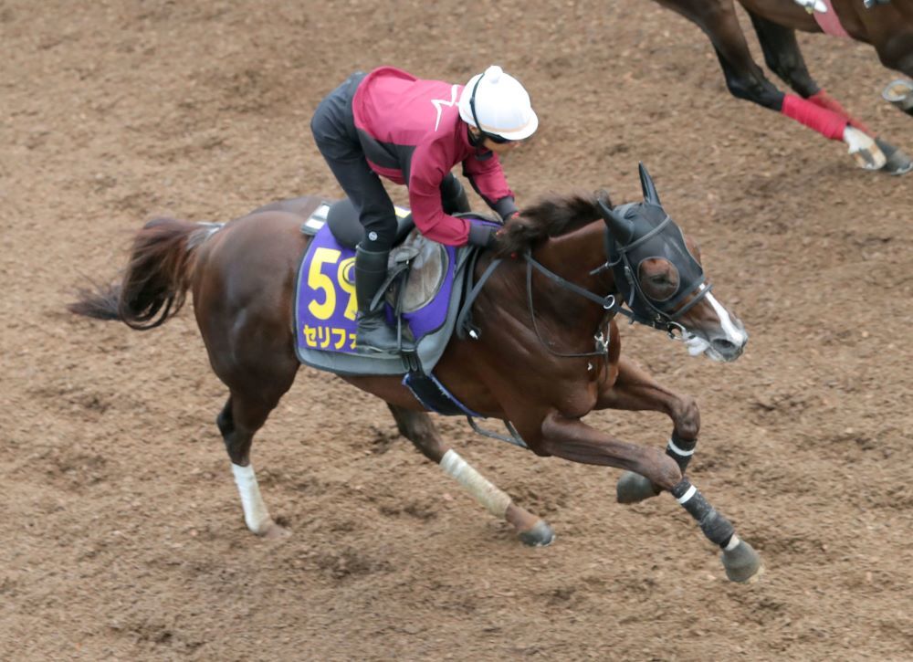 【安田記念】馬券圏内率100％！ 軸馬にオススメしたい“厳選1頭”（優馬） - Yahoo!ニュース