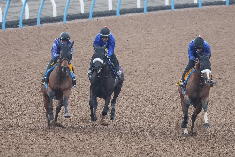 安田記念】馬券圏内率100％！ 軸馬にオススメしたい“厳選1頭”（優馬） - Yahoo!ニュース