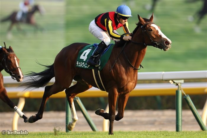 【今週デビューの2歳馬情報】オークス馬の弟が早くも東京競馬場でデビュー！