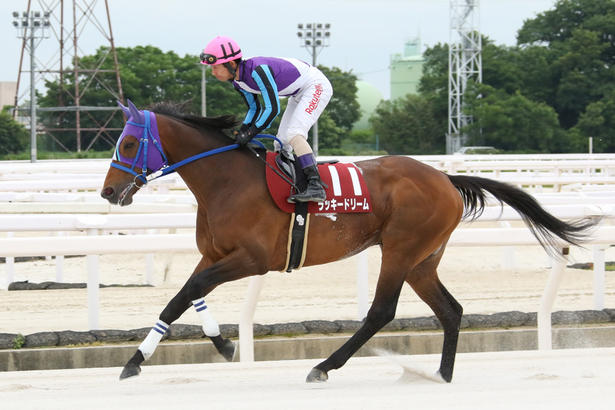 【園田・六甲盃】ラッキードリームが重賞12勝目