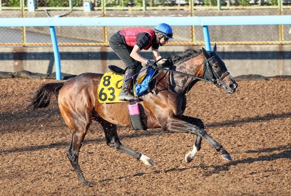 【エプソムC】レーベンスティールに「また」先着できる伏兵馬　“肉切骨断”の競馬で「結果出せる」