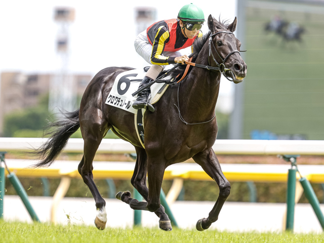東京5R新馬戦結果】キタサンブラック産駒クロワデュノールが初陣飾る 