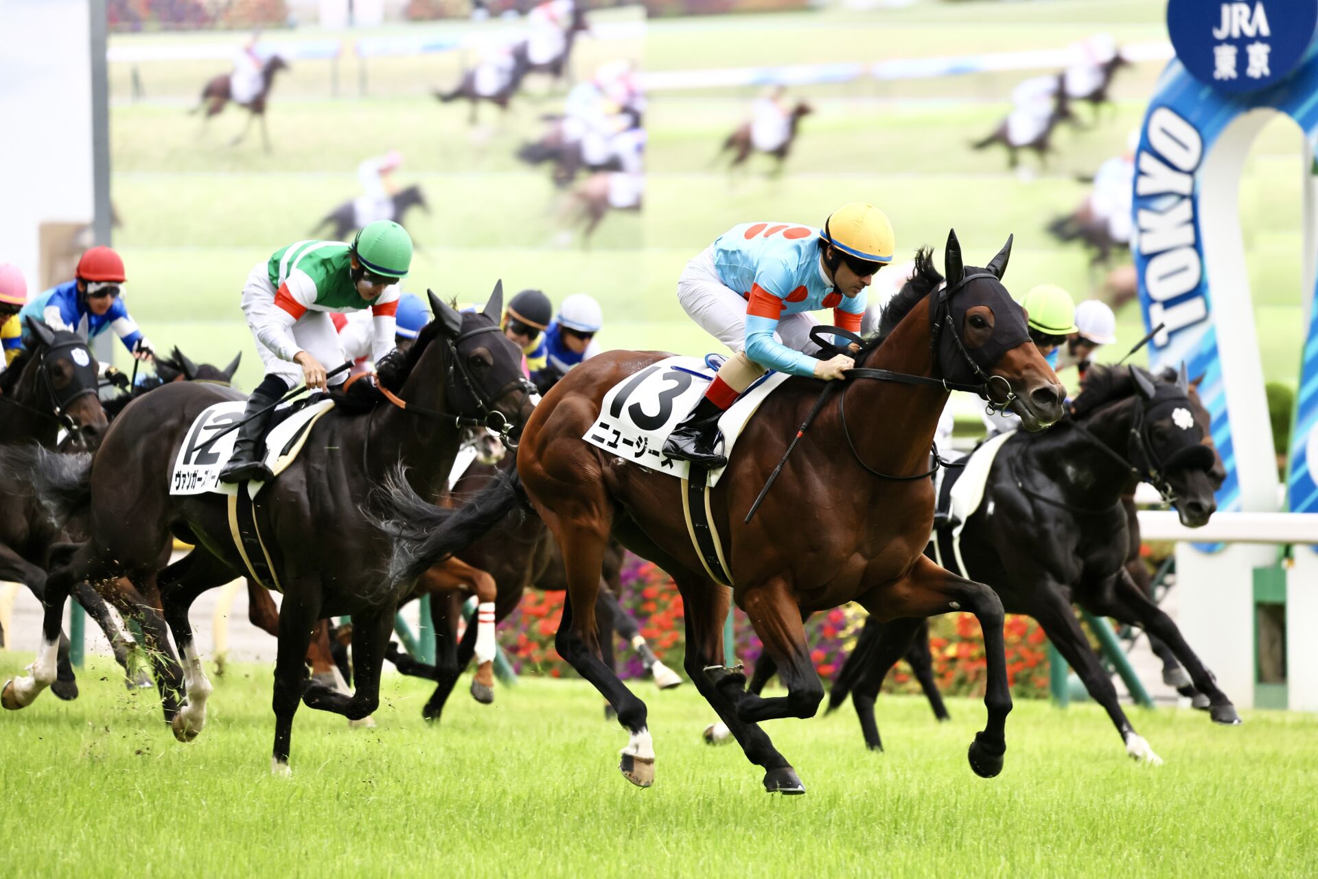 【東京12R】良血ニュージーズが快勝…ミッキークイーン半弟