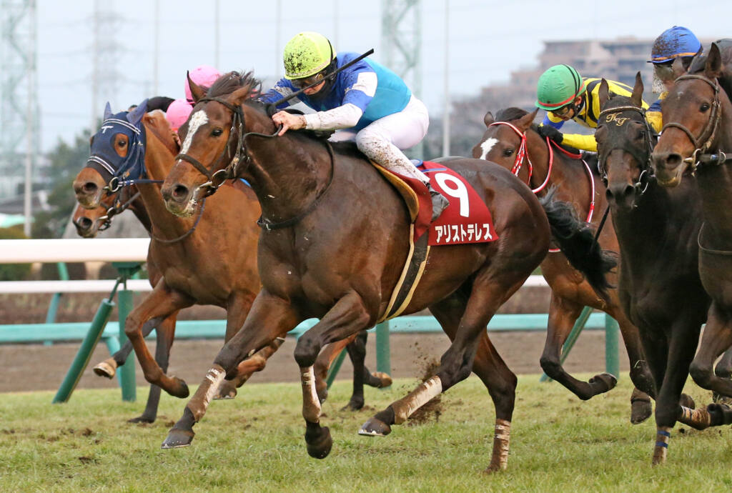 アリストテレスの競走馬登録抹消…AJCCを勝利