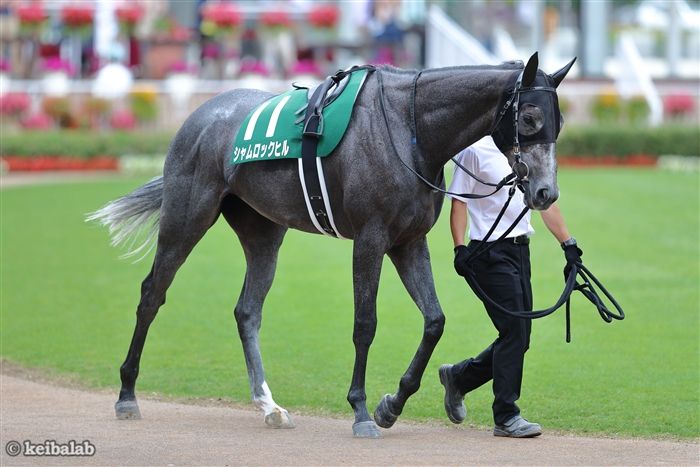 【マーメイドS】驚異の馬券率5割！荒れる牝馬限定ハンデ重賞で爆穴連発の「最強枠」