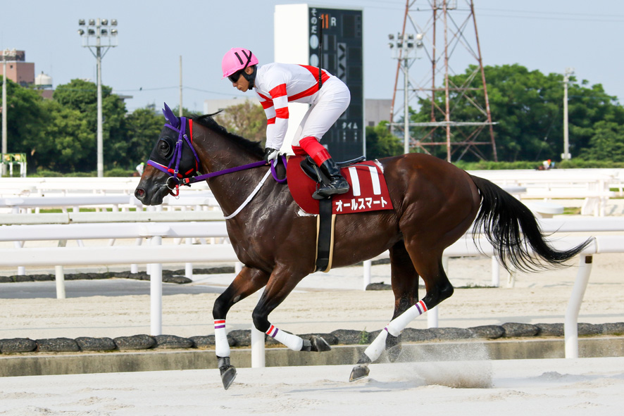 【園田FCスプリント】オールスマートが3馬身差完勝…山下「いつも通りの競馬」