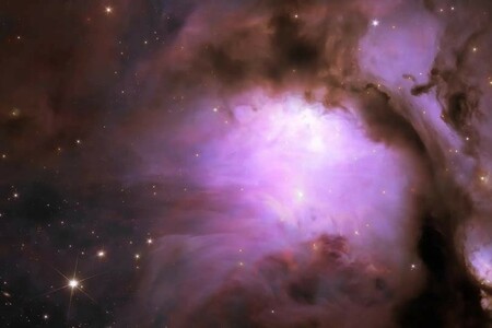 心が満たされる。ユークリッド宇宙望遠鏡がとらえた美しすぎる天文画像(ギズモード・ジャパン)