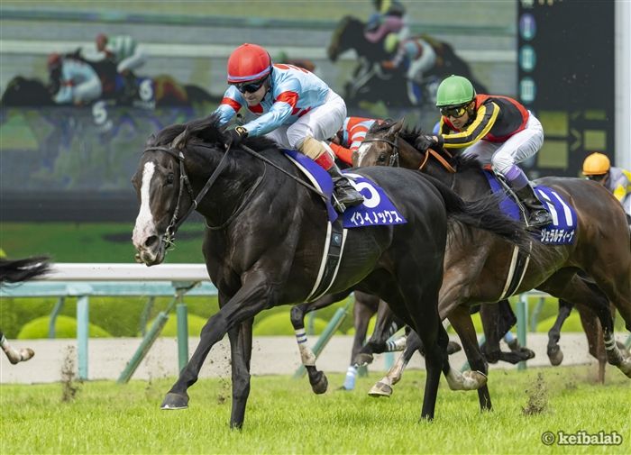 【宝塚記念】出走馬格付けバトル！ドウデュースを抑えて総合1位に輝いた軸馬候補