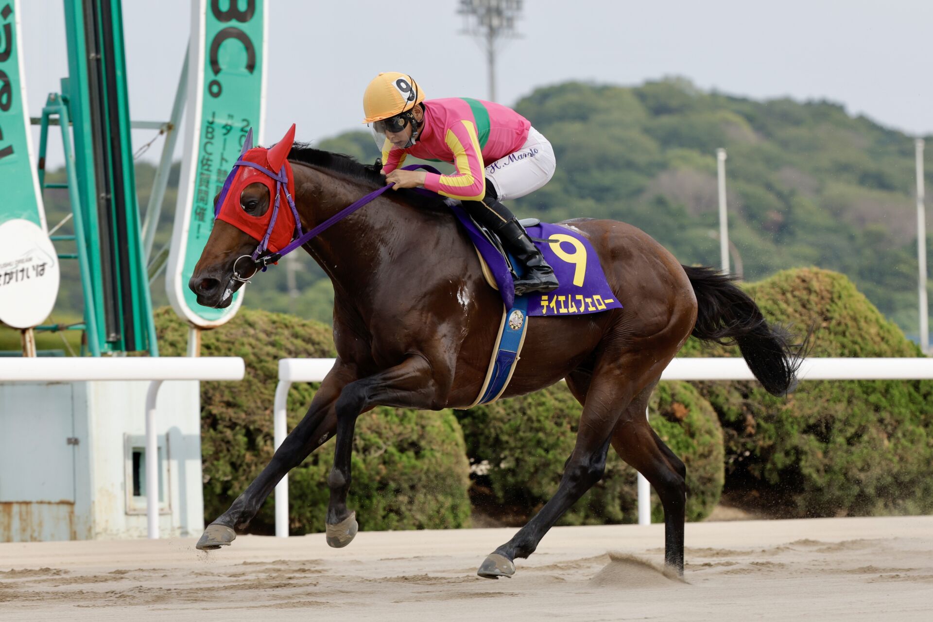 【佐賀がばいスプリント】飛田「馬が頑張ってくれた」…テイエムフェローが快勝