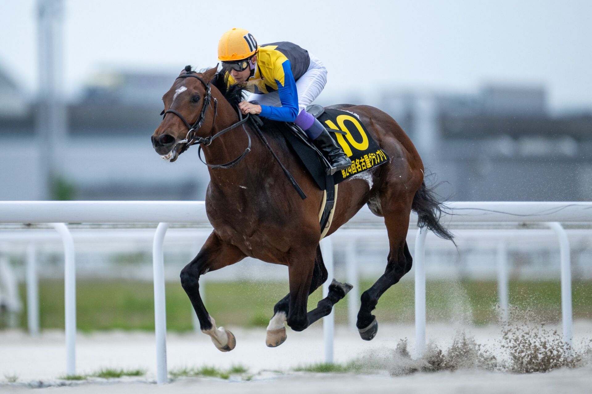 【帝王賞】武豊ノットゥルノ、メイショウハリオなど