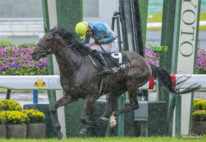 【宝塚記念】大雨予報で急浮上！土曜京都の「最新トレンド」から導かれた魅力タップリの激走候補