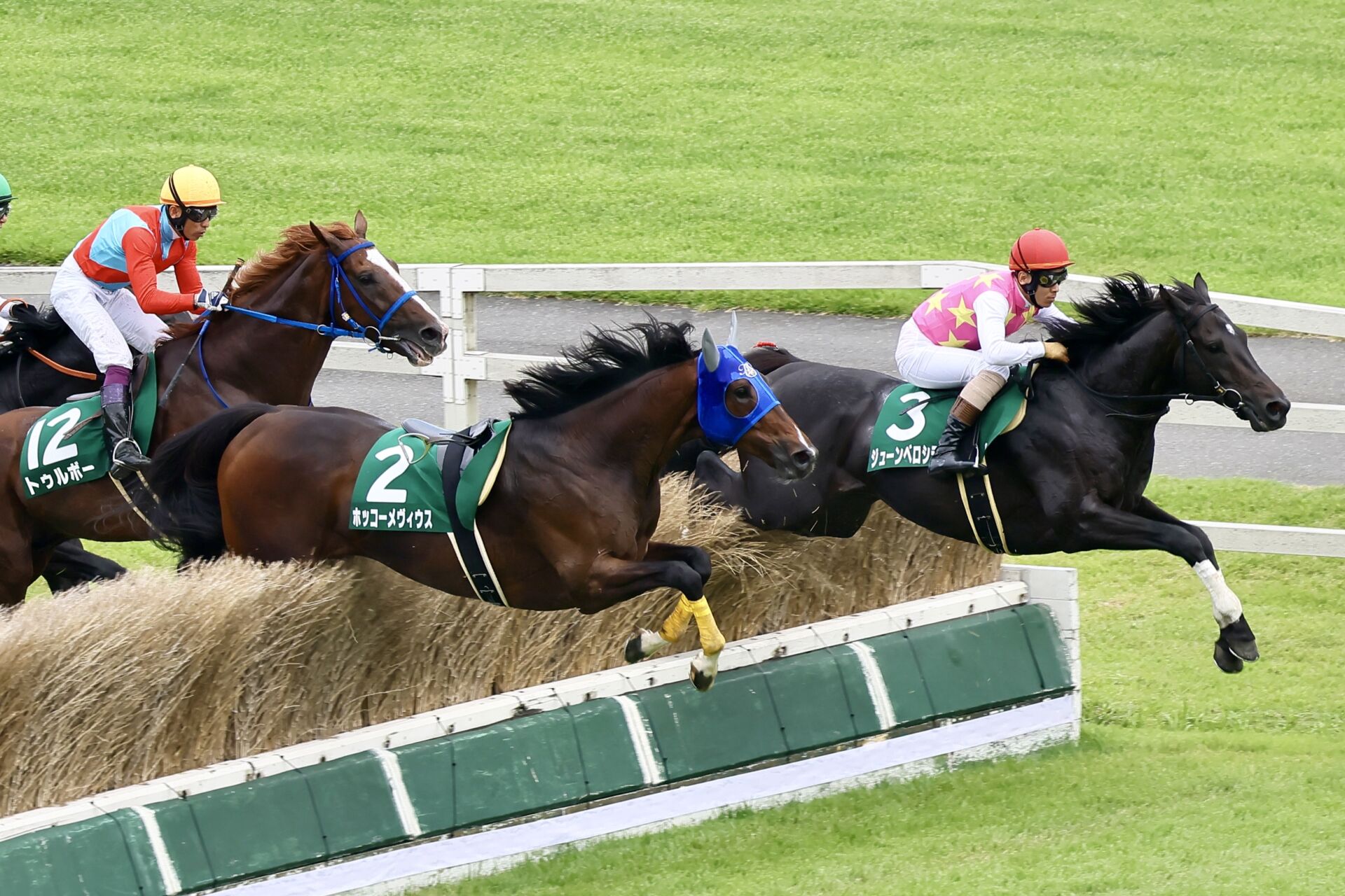 【東京ジャンプS】ジューンベロシティが連覇…ホッコーメヴィウスはいきなり落馬の波乱