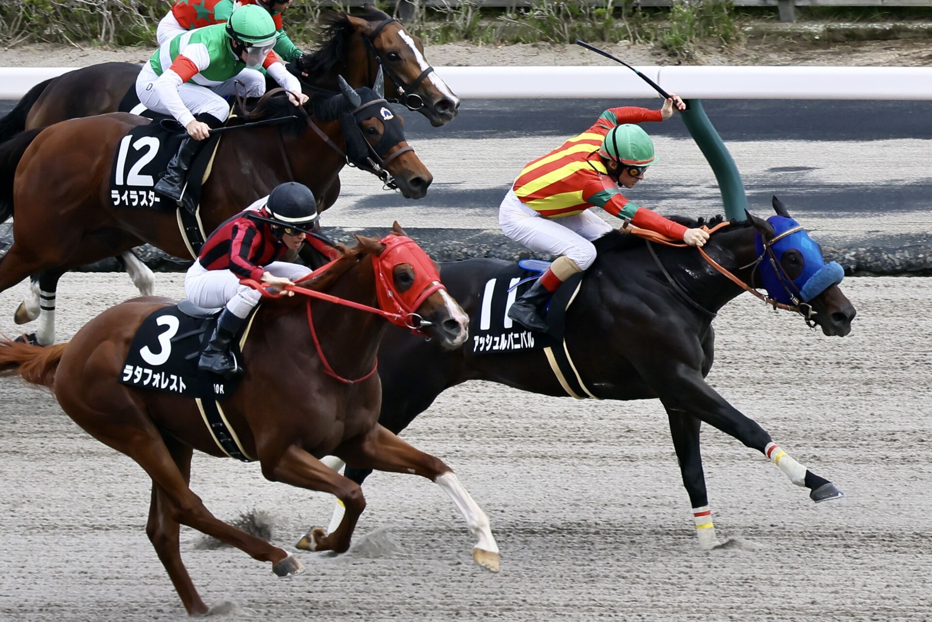 【日野特別】単勝1.1倍アッシュルバニパルが差し返してV