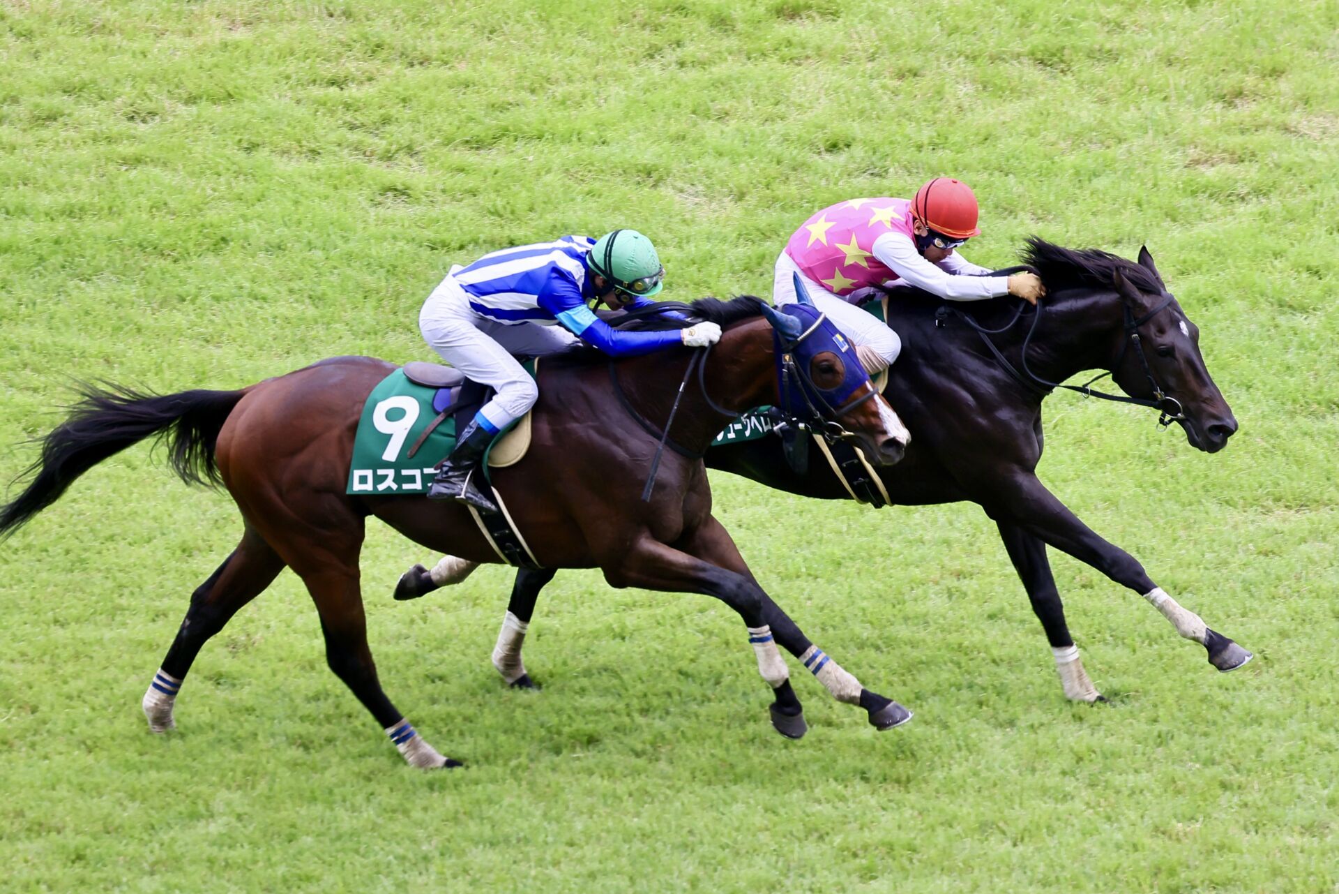 高田潤騎手が騎乗停止…東京JS