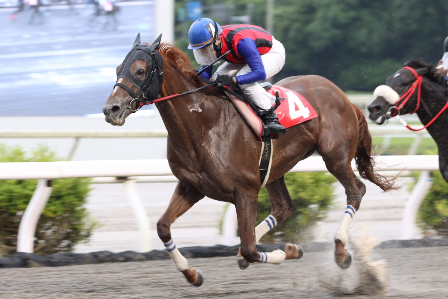 【高知・御畳瀬特別】ユメノホノオ快勝も…吉原「ちょっと物足りない感じ」