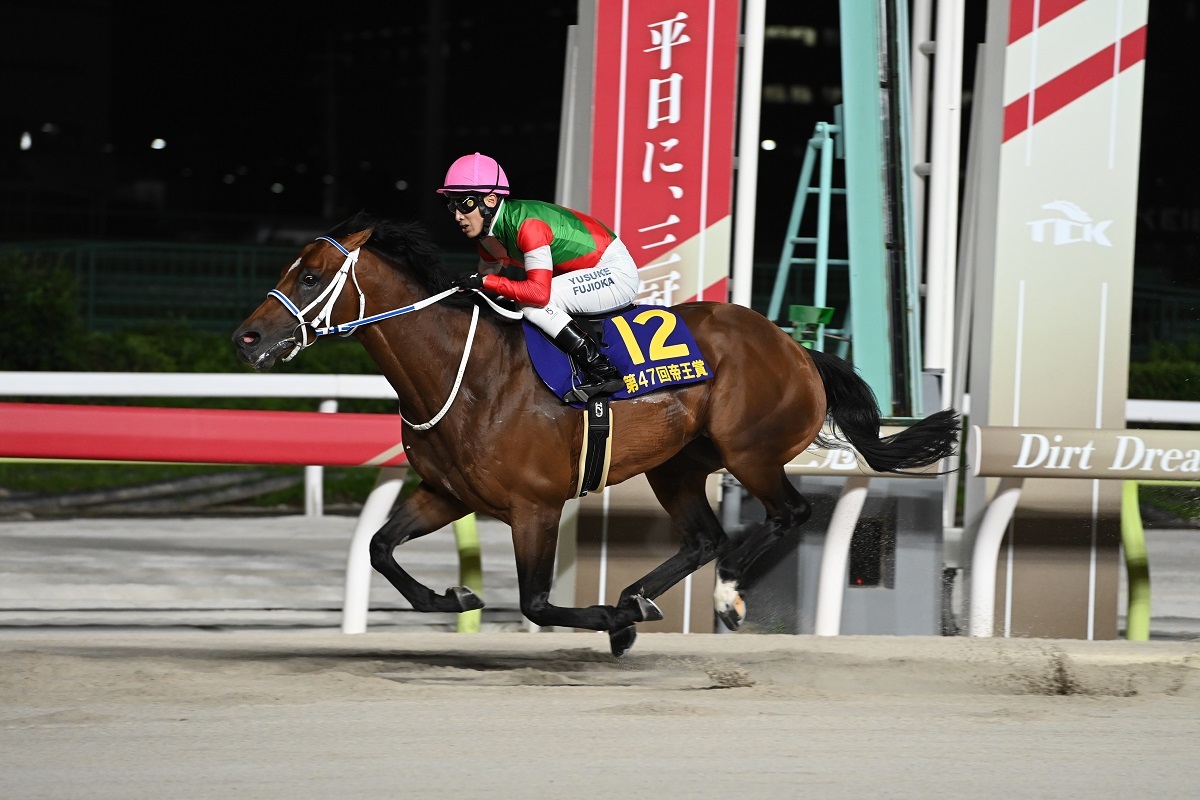 上半期のダート王決定戦「帝王賞」は藤岡佑介騎乗のキングズソードがV【TCK】