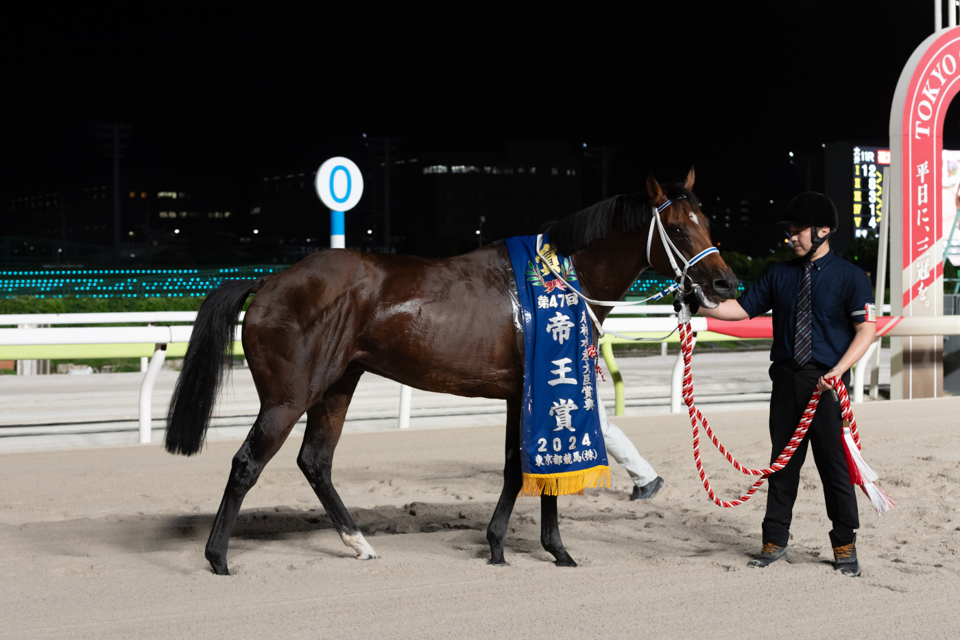 【帝王賞】寺島師「安心して見てられた」キングズソードが快勝