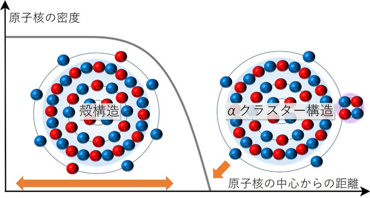 原子核に新たな見方、2つの構造併せ持つことを発見 大阪公立大（Science Portal） - Yahoo!ニュース