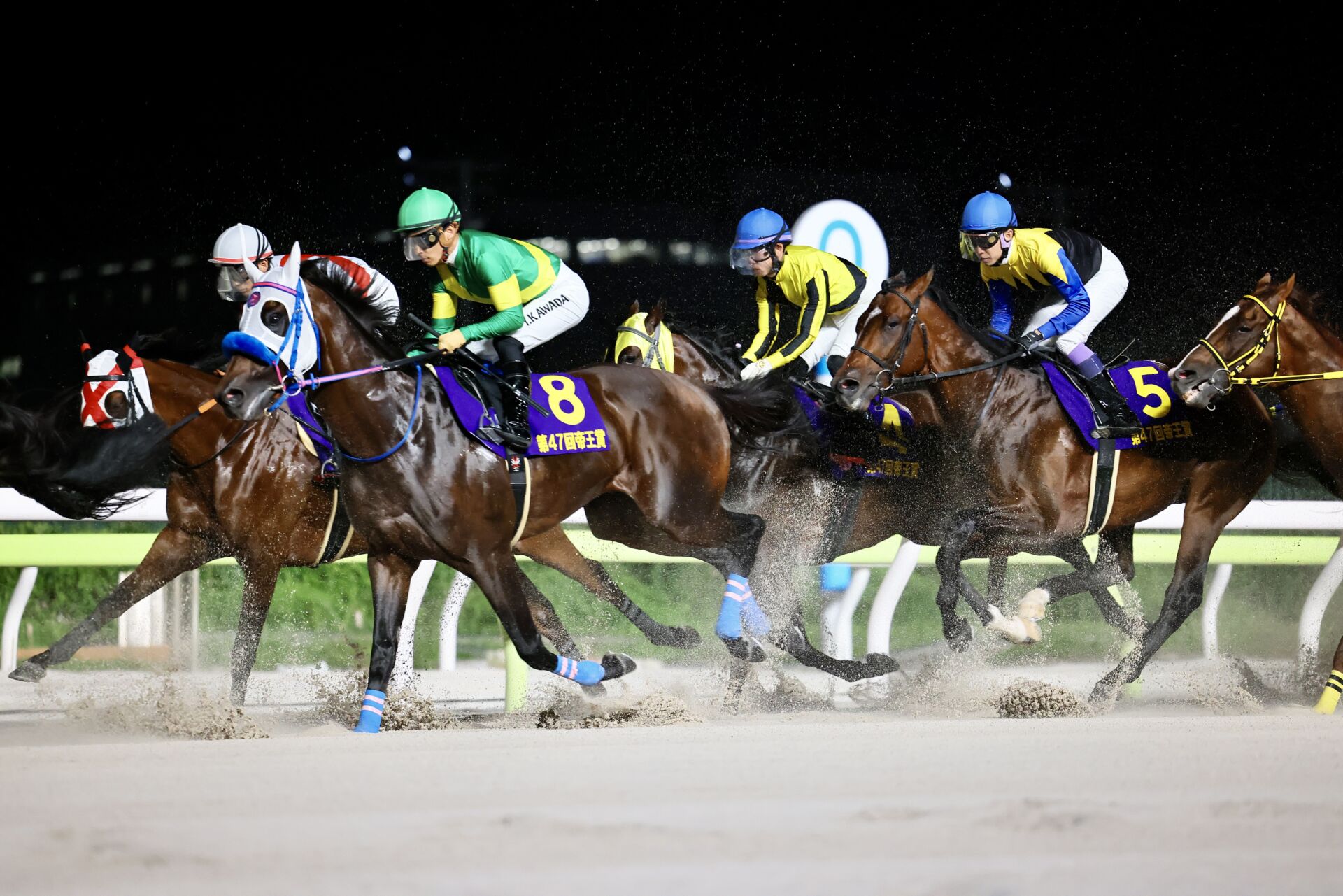 【帝王賞】川田「勝ち馬が強かったです」レース後ジョッキーコメント