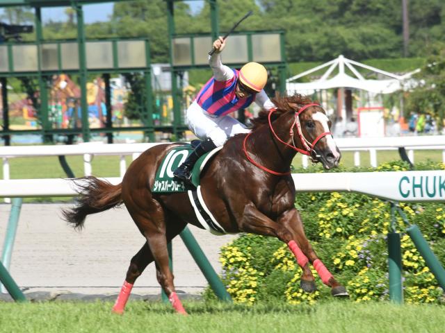 【北九州記念枠順確定】ジャスパークローネは6枠11番、ピューロマジックは6枠12番