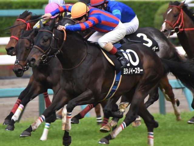 北九州記念当日の小倉は雨予報 狙いは「時計の速い道悪」で実績のある馬