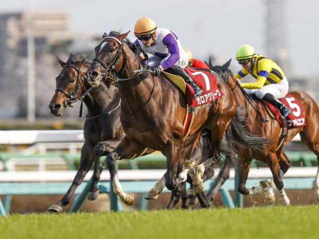 20年の皐月賞3着馬 ガロアクリークが抹消・乗馬に