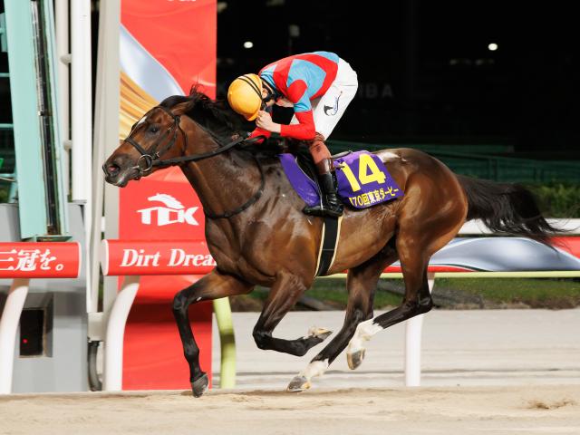 【地方競馬】ダート競馬の発展には詳細な情報提供が望まれる