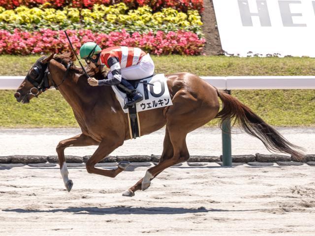 【福島2R】単勝217.7倍の伏兵が勝利 3連単は327万超えの大波乱に