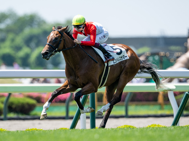 【函館5R新馬戦結果】アルアイン産駒エンドレスサマーが5馬身差圧勝