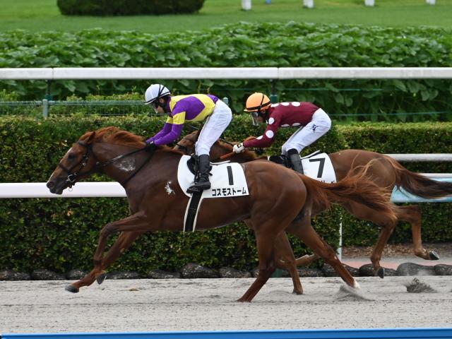 【小倉6R新馬戦結果】デクラレーションオブウォー産駒コスモストームが競り合いを制す