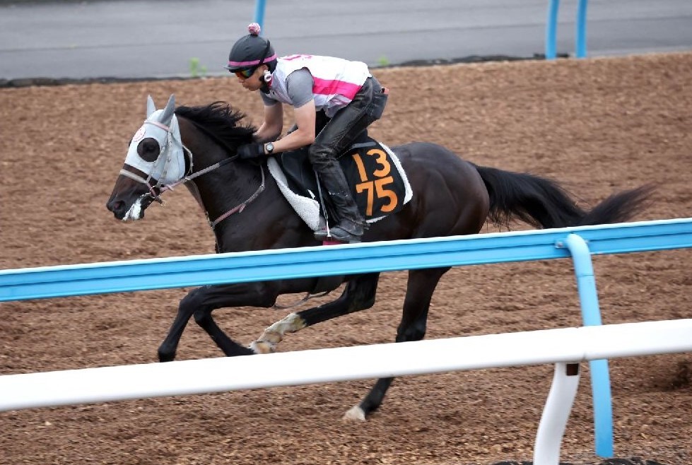 【ラジオNIKKEI賞】「先行馬だらけ」のレースで狙える馬は…　プラス要素が満載の1頭