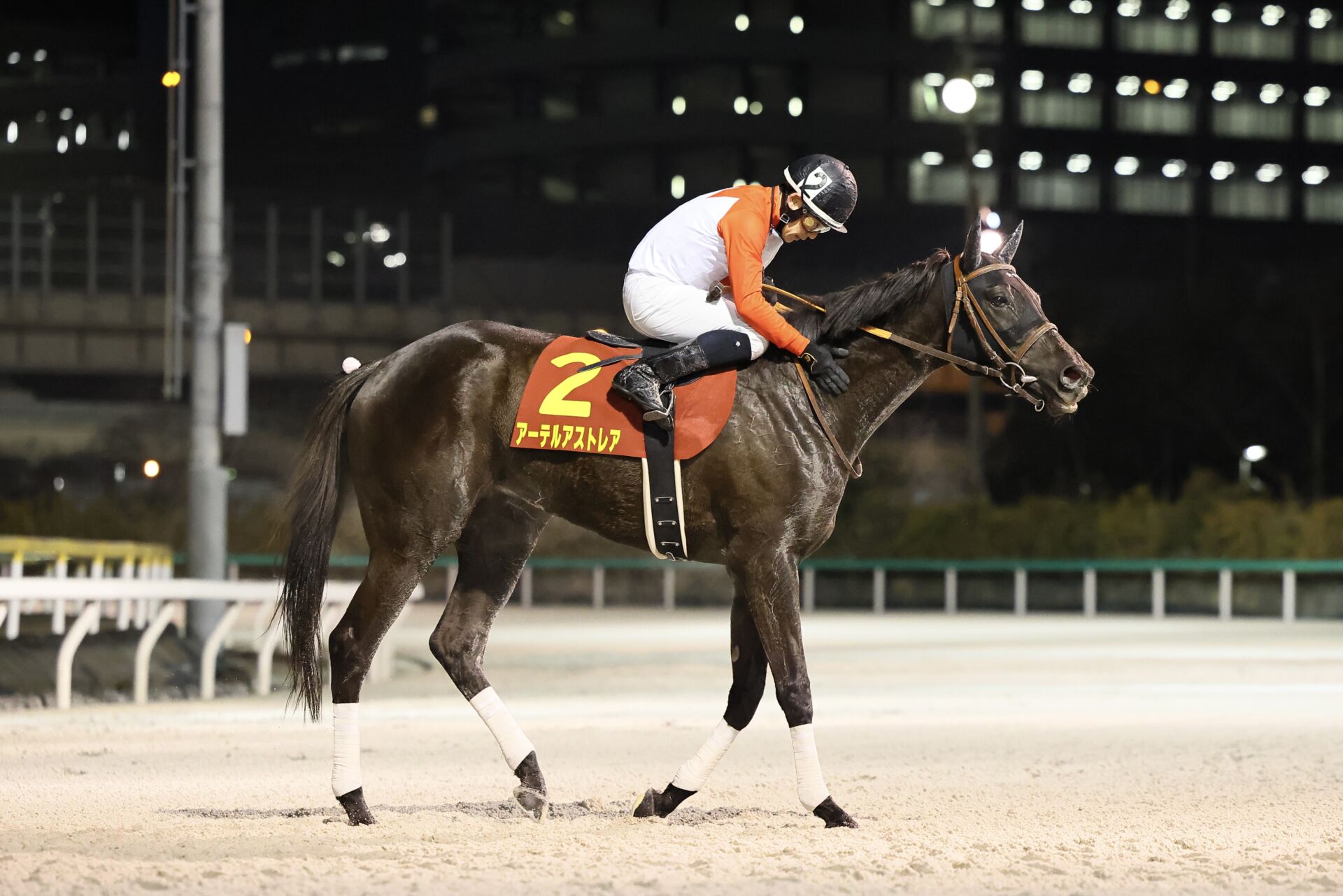 【川崎競馬】スパーキングレディーカップ出走予定馬…アーテルアストレアなど